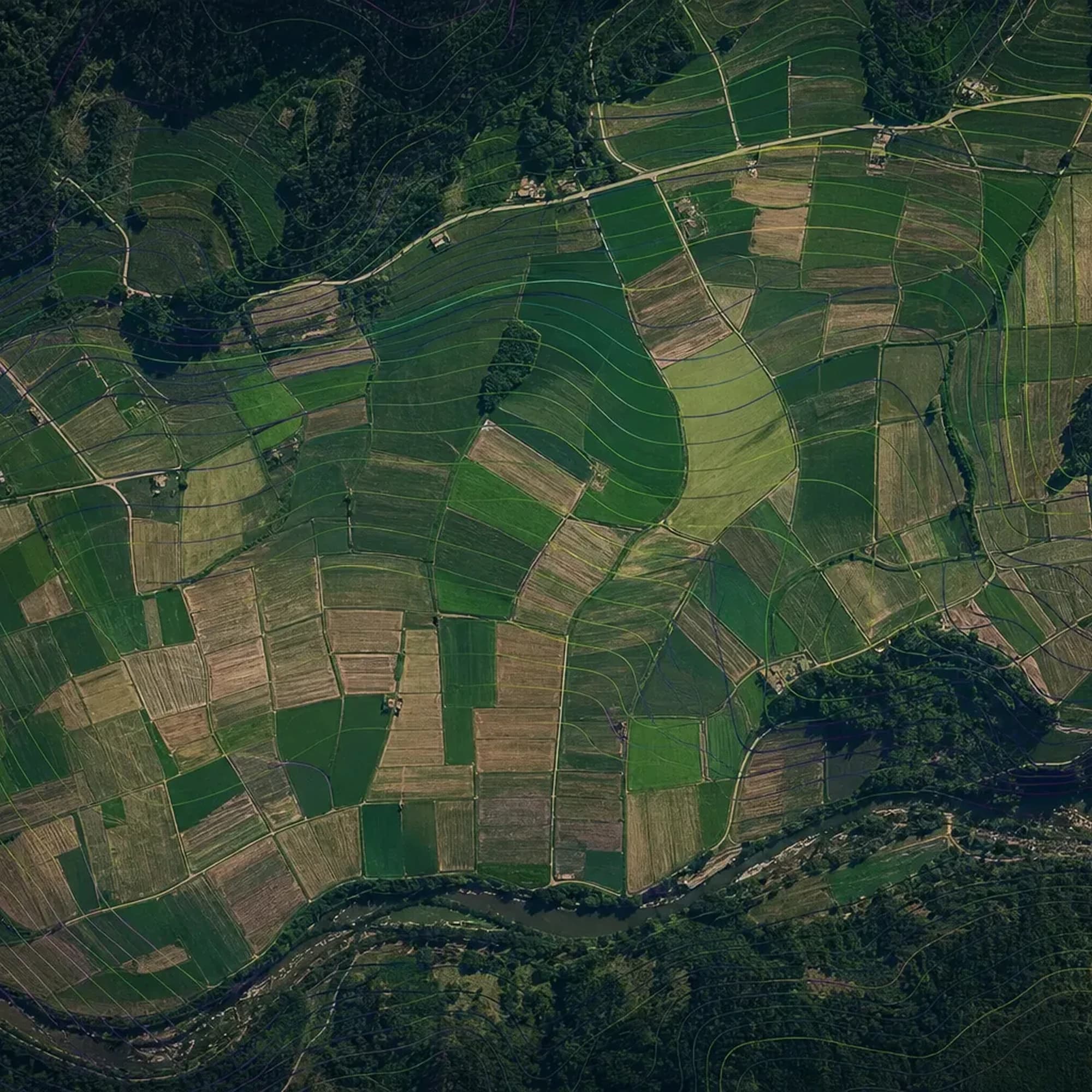 A crop forecast rendered across agricultural parcels