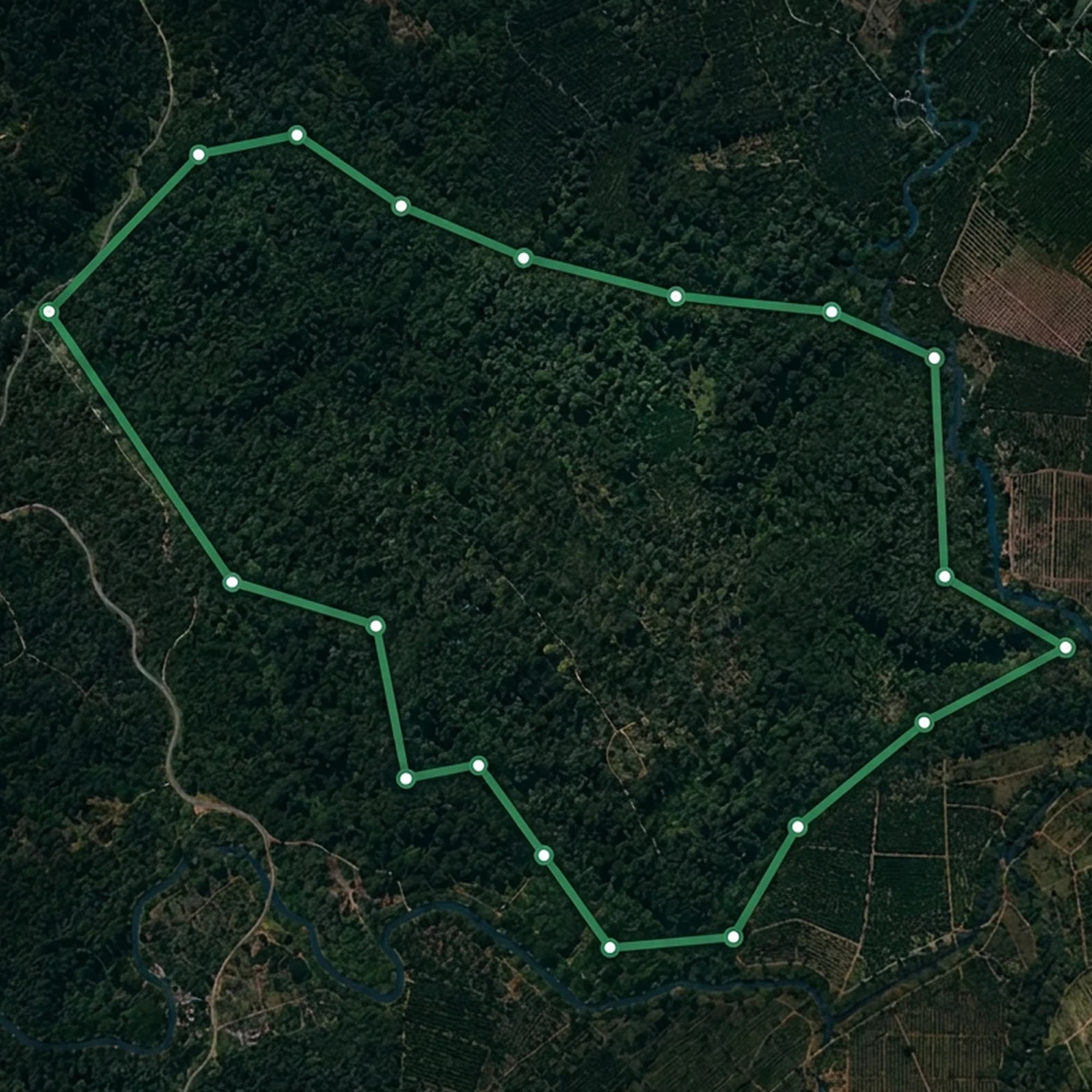 A parcel boundary checked against satellite history for EUDR compliance